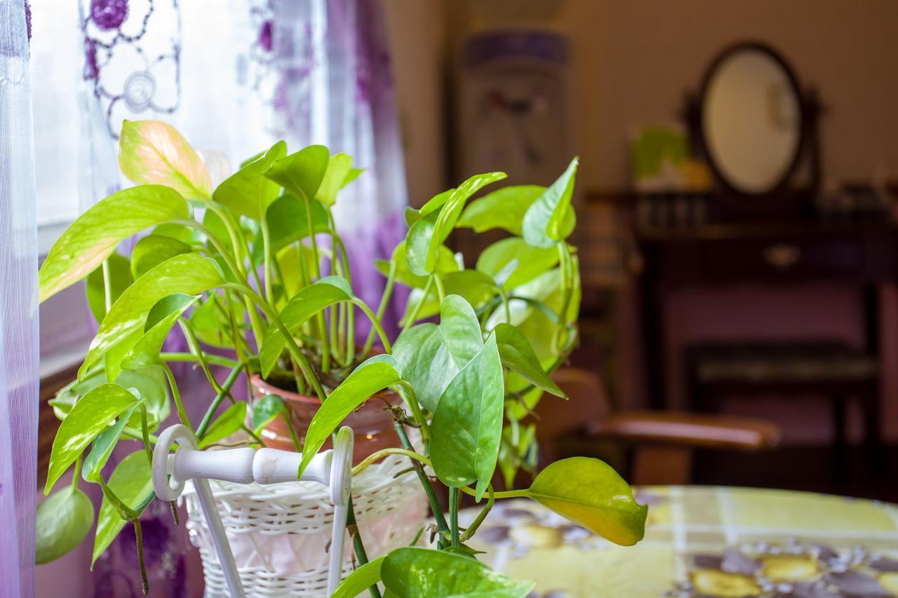 Chenyuan B&B Hualien City Εξωτερικό φωτογραφία